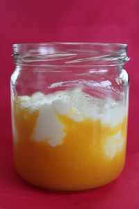 Griekse yoghurt-perzik