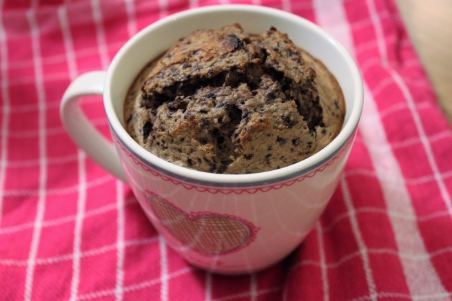 blueberry-mugcake-lovetocookhealthy